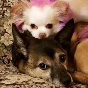 Meet your Posher, Mindee